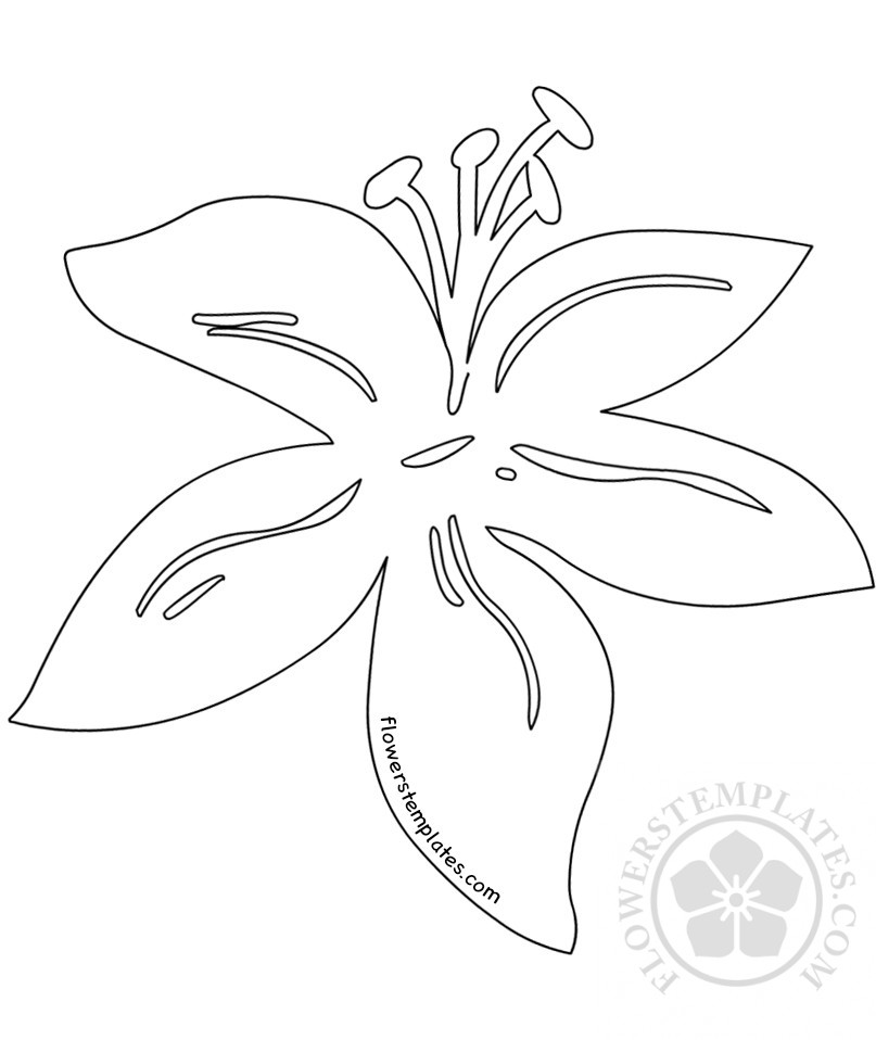 lily-fflower-outline2 – Flowers Templates