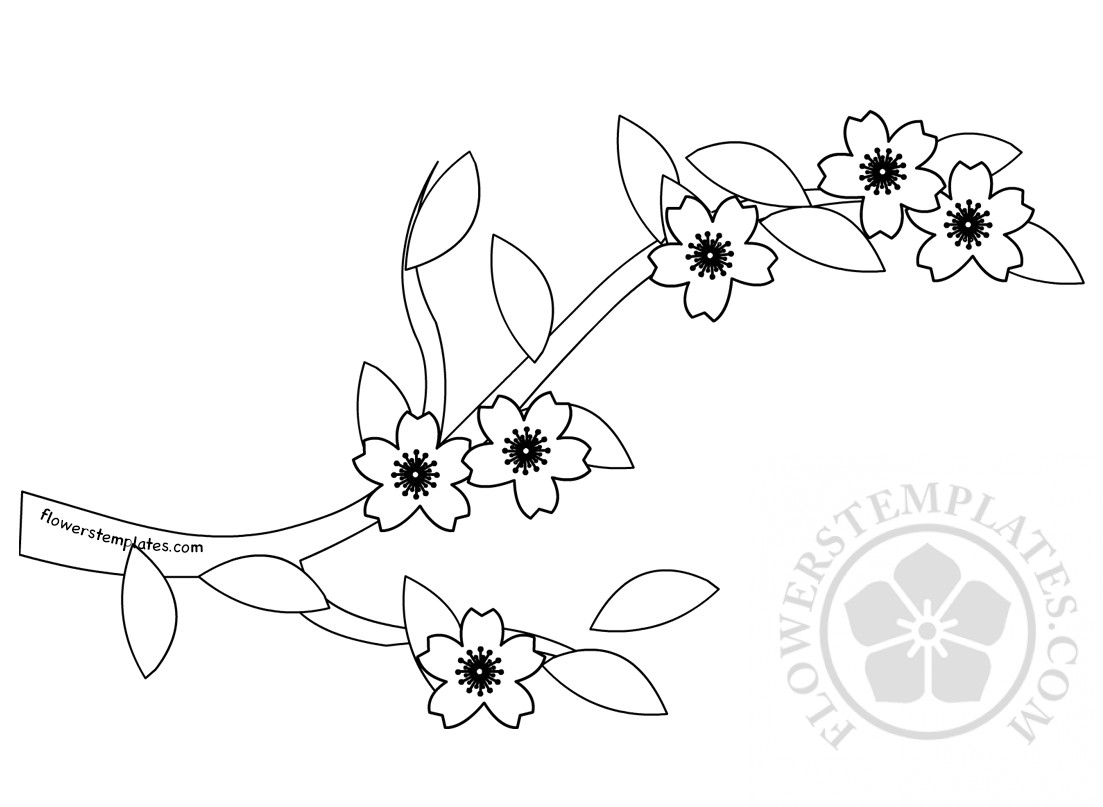 cherry blossom branch Flowers Templates