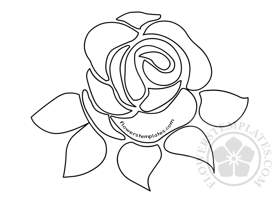 rose-flower3-flowers-templates