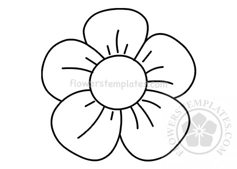 5-petal-daisy – Flowers Templates