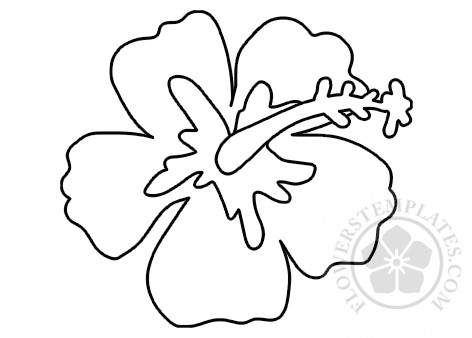 hibiscus-flower-shape – Flowers Templates