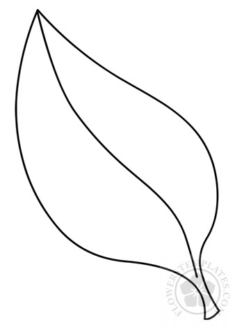 lanceolate-leaf-shape – Flowers Templates